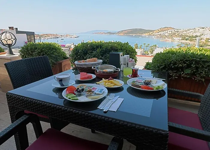 Gumbet Hotel 호텔 3*